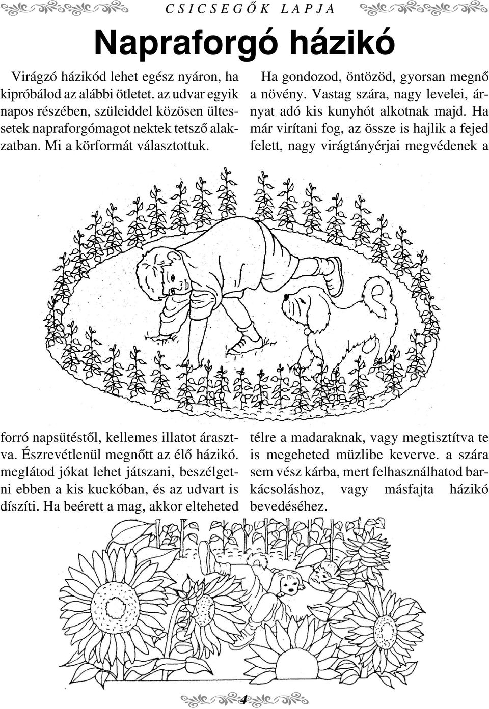 Ha már virítani fog, az össze is hajlik a fejed felett, nagy virágtányérjai megvédenek a forró napsütéstõl, kellemes illatot árasztva. Észrevétlenül megnõtt az élõ házikó.