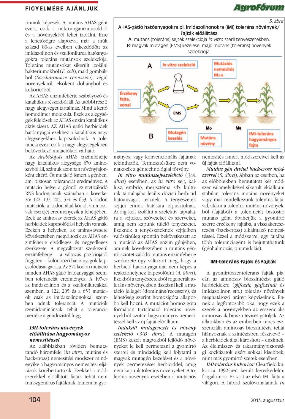 Toleráns mutánsokat sikerült izolálni baktériumokból (E. coli), majd gombákból (Saccharomices cerevisiae), végül növényekből, elsőként dohányból és kukoricából.