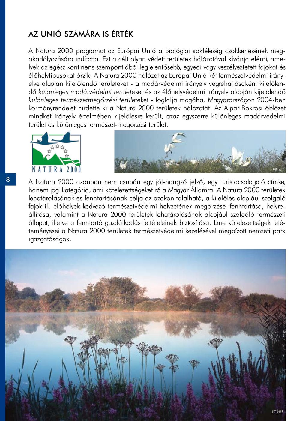 A Natura 2000 hálózat az Európai Unió két természetvédelmi irányelve alapján kijelölendő területeket - a madárvédelmi irányelv végrehajtásaként kijelölendő különleges madárvédelmi területeket és az