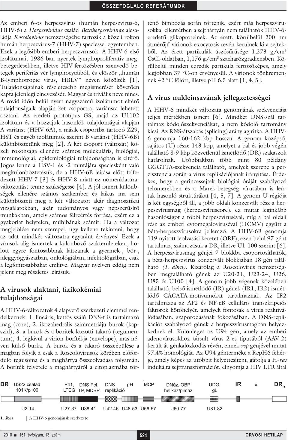 A HHV-6 első izolátumait 1986-ban nyerték lymphoproliferativ megbetegedésekben, illetve HIV-fertőzésben szenvedő betegek perifériás vér lymphocytáiból, és először humán B-lymphotropic vírus, HBLV