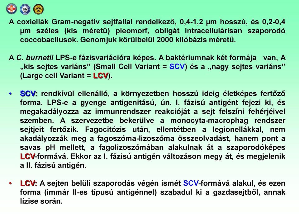 A baktériumnak két formája van, A kis sejtes variáns (Small Cell Variant = SCV) és a nagy sejtes variáns (Large cell Variant = LCV).