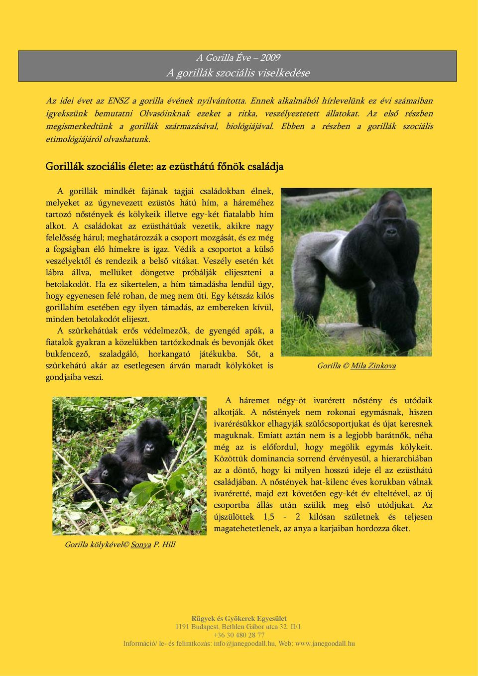 Ebben a részben a gorillák szociális etimológiájáról olvashatunk.