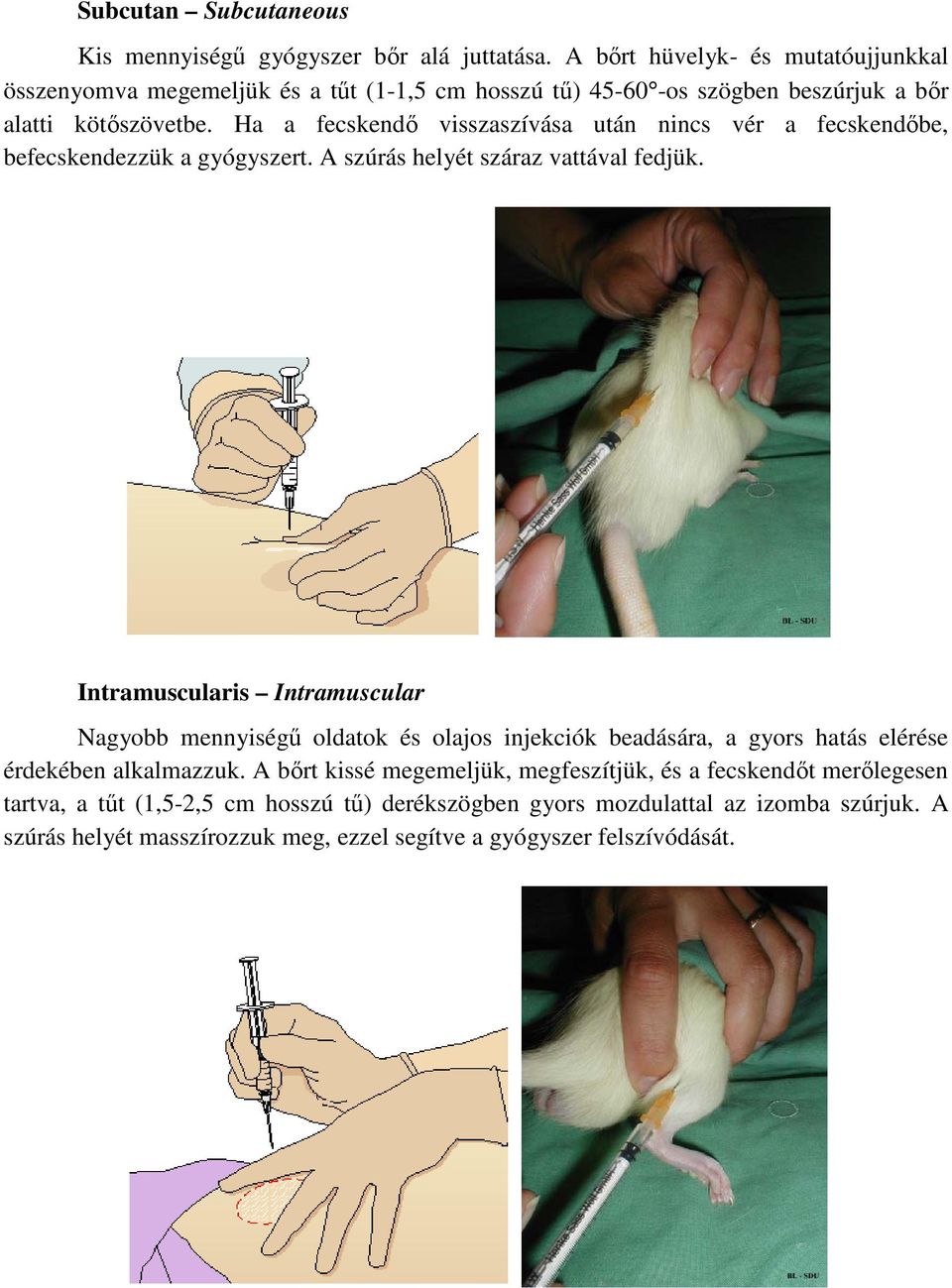 Ha a fecskendő visszaszívása után nincs vér a fecskendőbe, befecskendezzük a gyógyszert. A szúrás helyét száraz vattával fedjük.