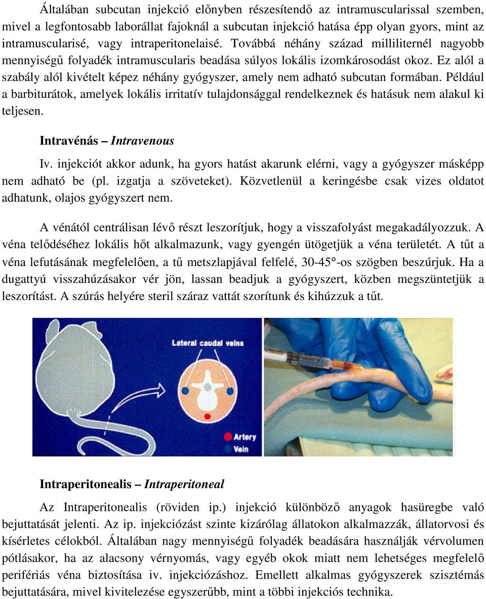 Ez alól a szabály alól kivételt képez néhány gyógyszer, amely nem adható subcutan formában.