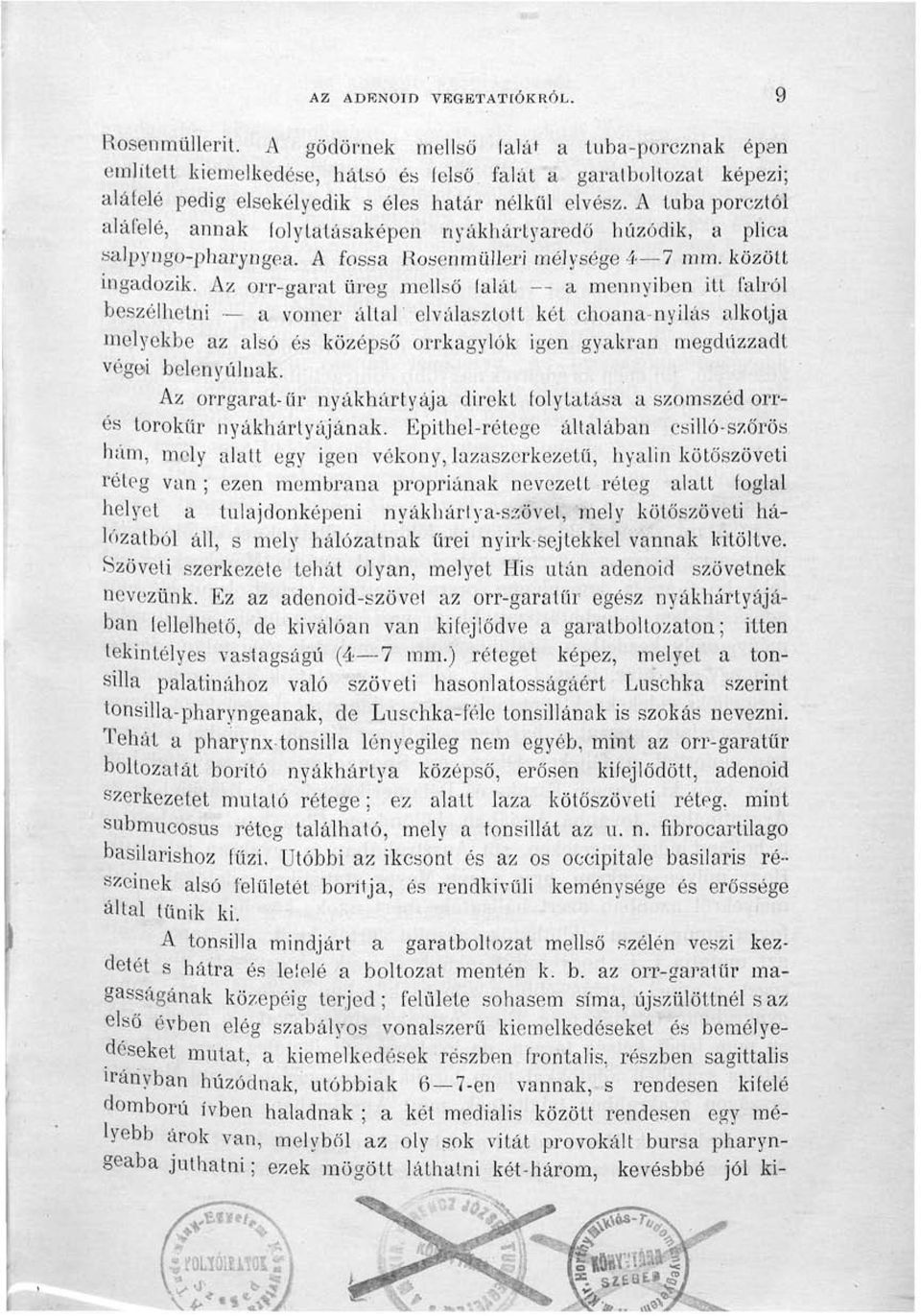 A tuba porcztól aláfelé, annak folylatásaképen nyákhártyaredő húzódik, a plica salpyngo-pharyngea. A fossa Rosenmülleri mélysége 4 7 mm. között ingadozik.