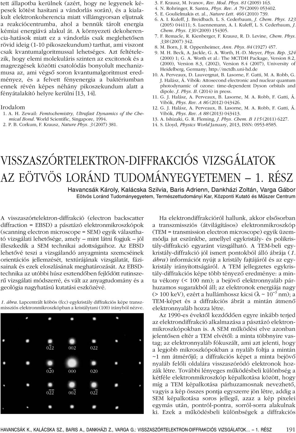 Azt feltételezik, hogy elemi molekuláris szinten az excitonok és a magrezgések közötti csatolódás bonyolult mechanizmusa az, ami végsô soron kvantumalgoritmust eredményez, és a felvett fényenergia a