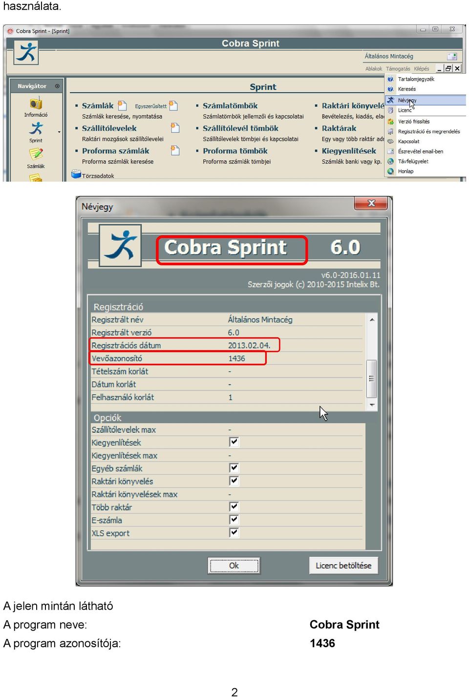 A program neve: Cobra