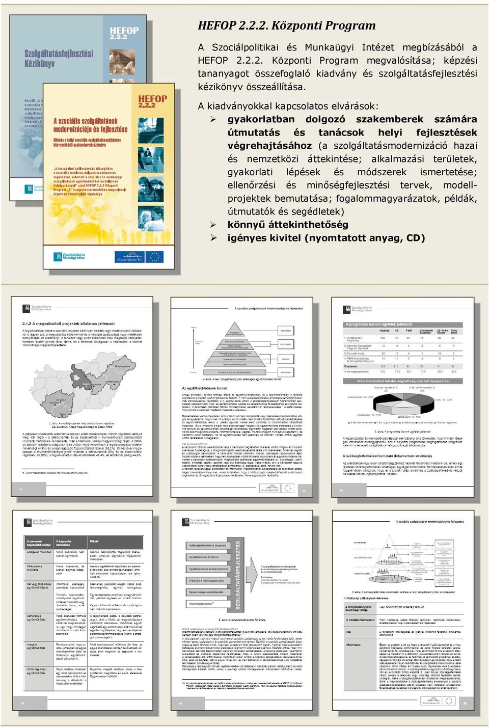 hazai és nemzetközi áttekintése; alkalmazási területek, gyakorlati lépések és módszerek ismertetése; ellenőrzési és minőségfejlesztési tervek, modellprojektek