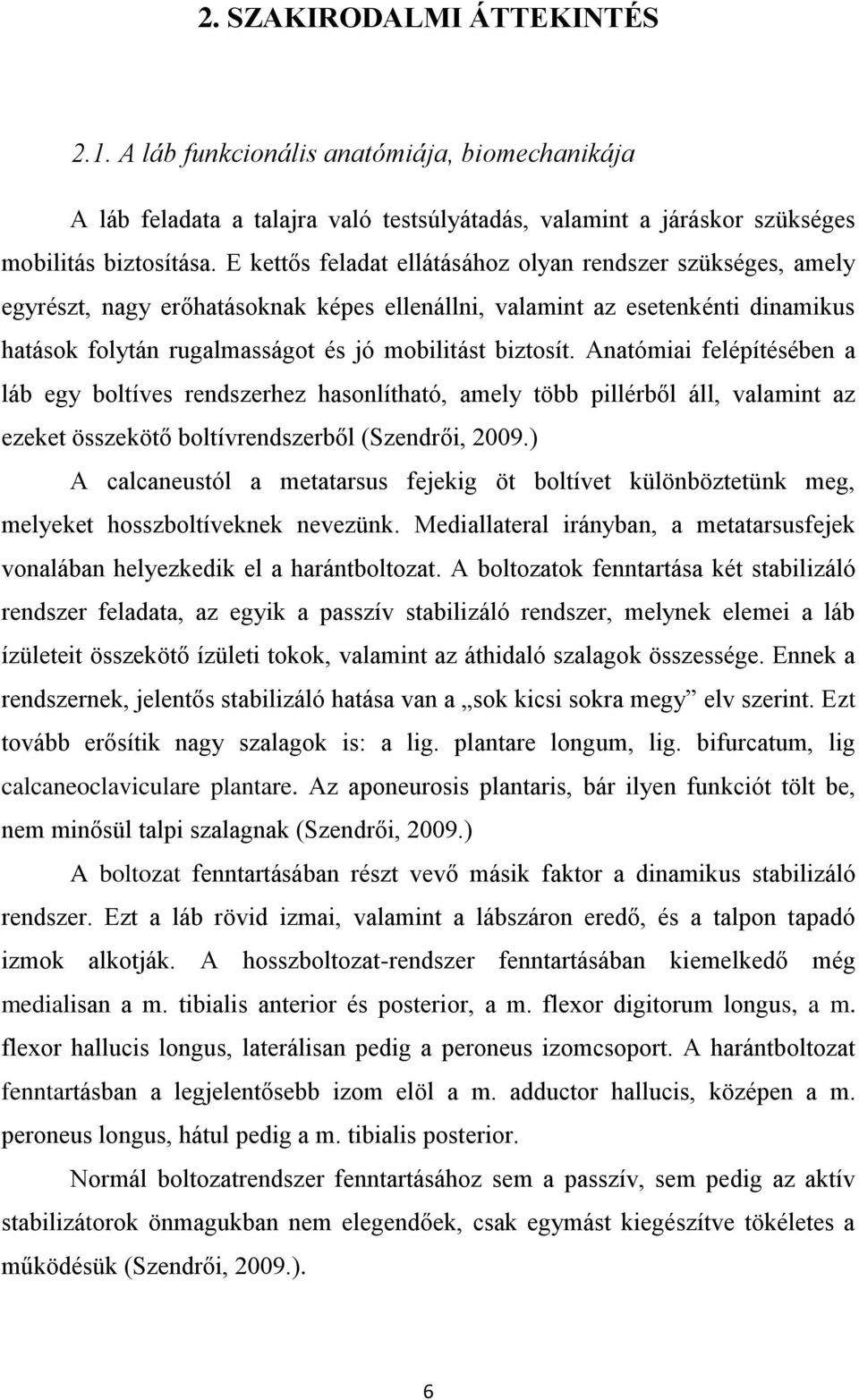 Anatómiai felépítésében a láb egy boltíves rendszerhez hasonlítható, amely több pillérből áll, valamint az ezeket összekötő boltívrendszerből (Szendrői, 2009.