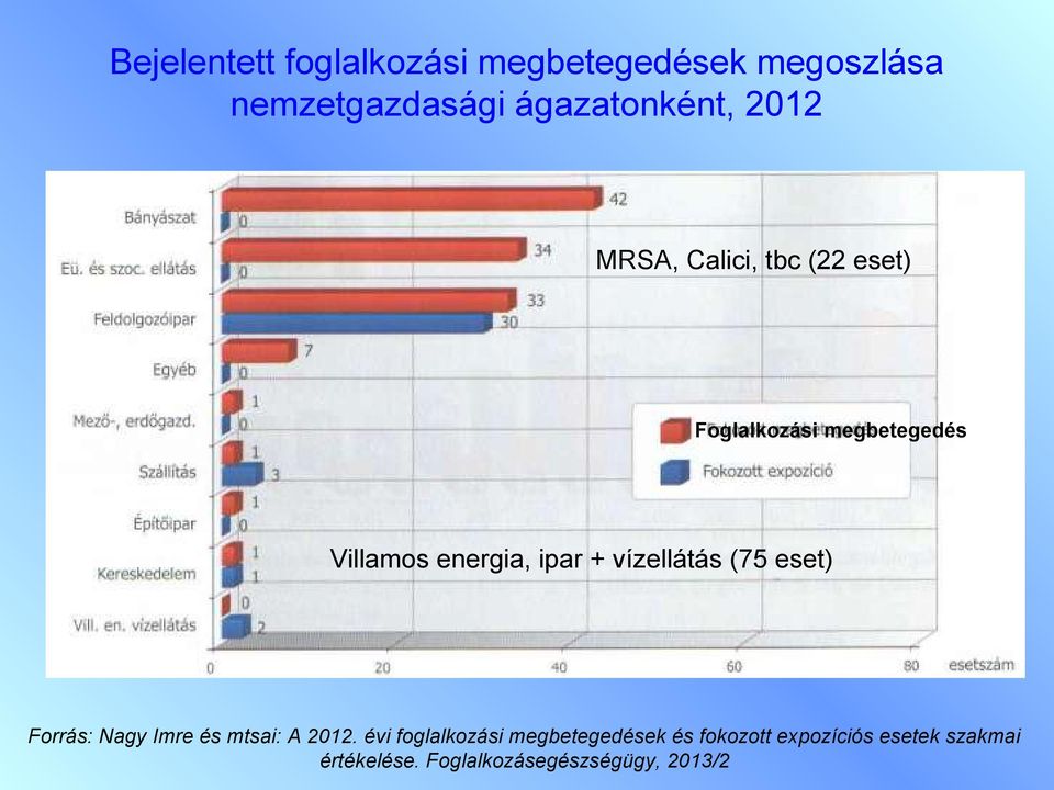 vízellátás (75 eset) Forrás: Nagy Imre és mtsai: A 2012.