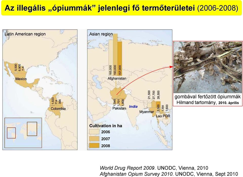 2010. április 2006 2007 2008 World Drug Report 2009.