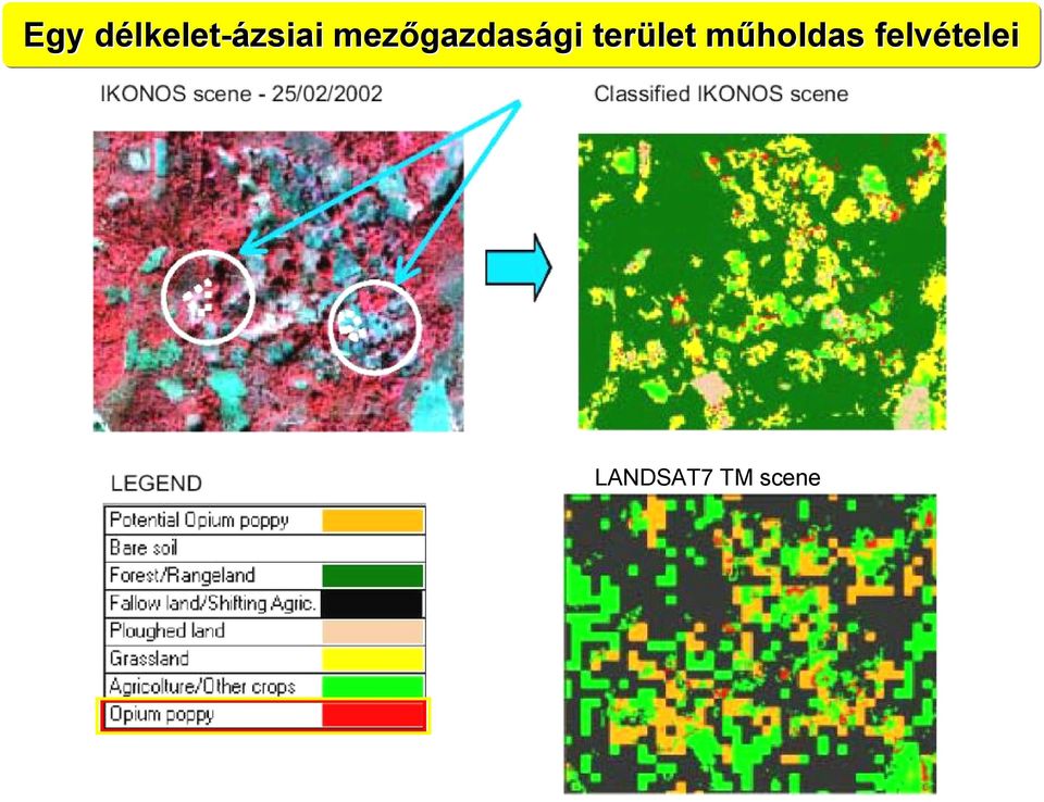 terület műholdas