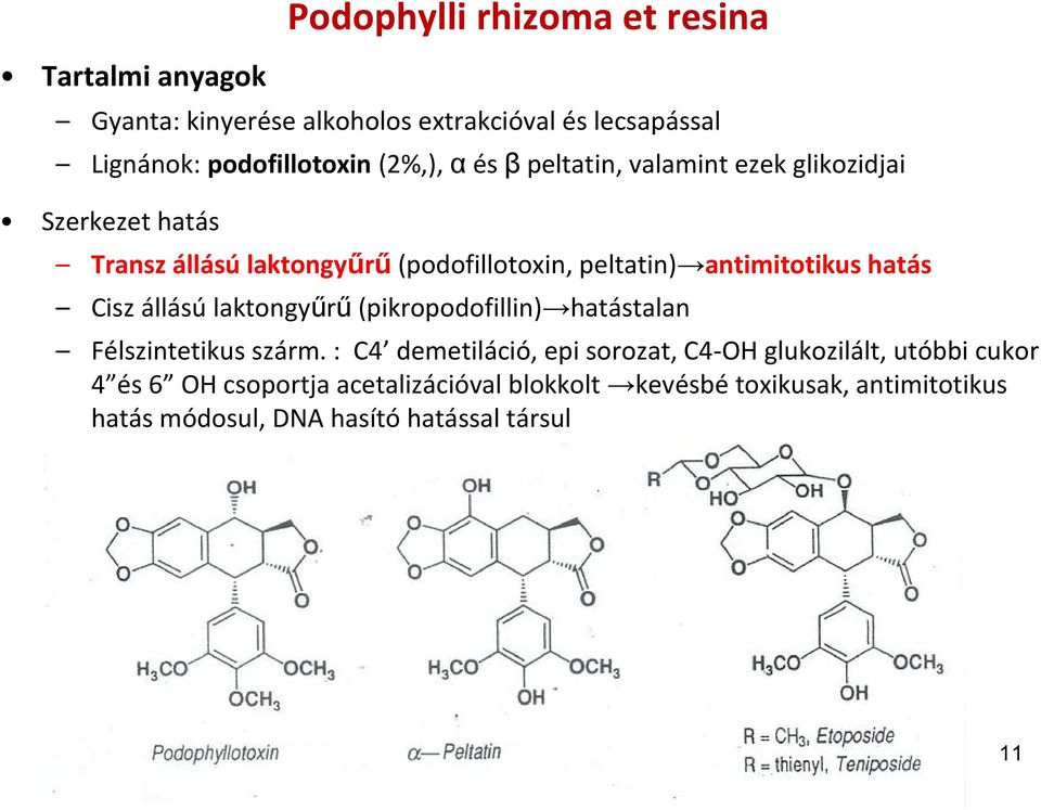 antimitotikus hatás Cisz állású laktongyűrű (pikropodofillin) hatástalan Félszintetikus szárm.