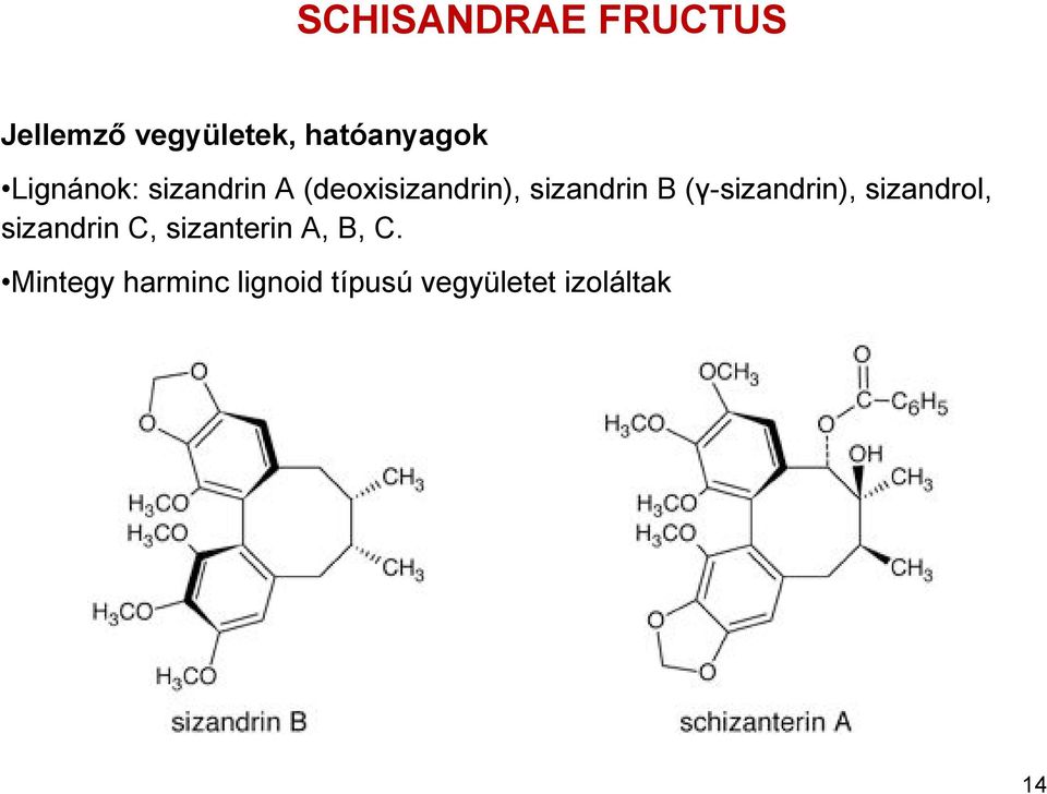 (γ-sizandrin), sizandrol, sizandrin C, sizanterin A,