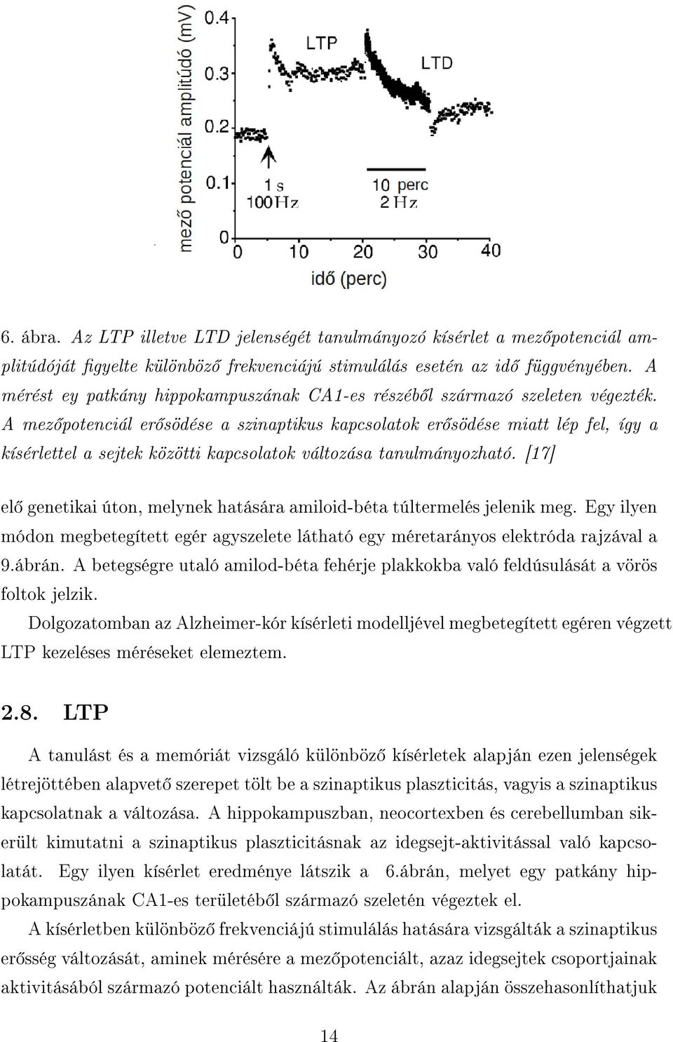 A mez potenciál er södése a szinaptikus kapcsolatok er södése miatt lép fel, így a kísérlettel a sejtek közötti kapcsolatok változása tanulmányozható.