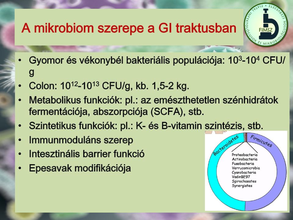 : az emészthetetlen szénhidrátok fermentációja, abszorpciója (SCFA), stb.