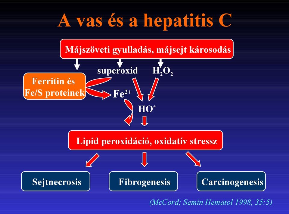 2+ HO * Lipid peroxidáció, oxidatív stressz Sejtnecrosis