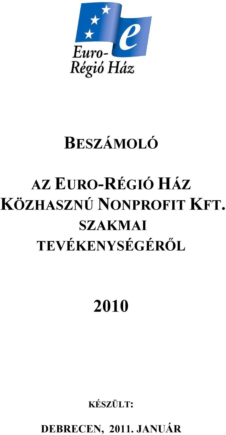 SZAKMAI TEVÉKENYSÉGÉRİL 2010