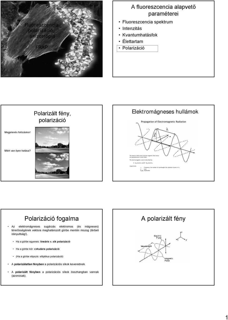 Polariáció fogalma A elektromágneses sugárás elektromos (és mágneses) térerősségének vektora meghatároott görbe mentén moog (térbeli iránultság!). A polariált fén Ha a görbe egenes: lineáris v.