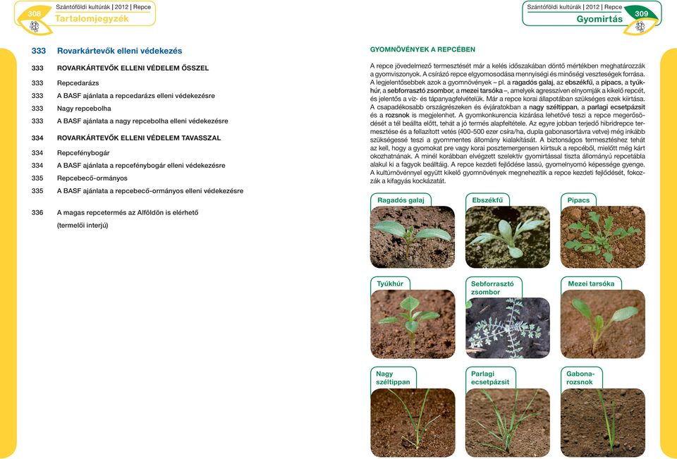 ajánlata a repcebecő-ormányos elleni védekezésre Gyomnövények a repcében A repce jövedelmező termesztését már a kelés időszakában döntő mértékben meghatározzák a gyomviszonyok.