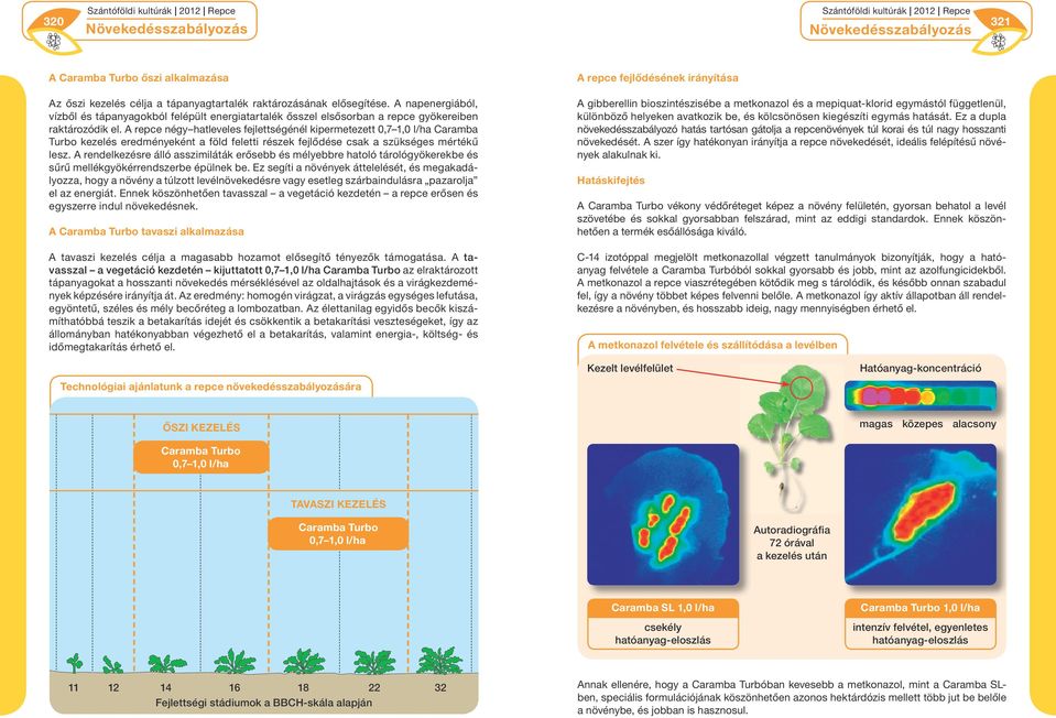 A repce négy hatleveles fejlettségénél kipermetezett 0,7 1,0 l/ha Caramba Turbo kezelés eredményeként a föld feletti részek fejlődése csak a szükséges mértékű lesz.