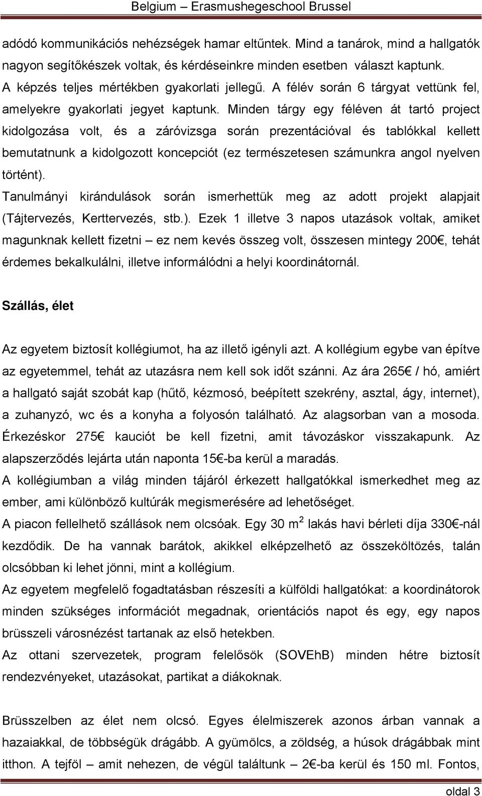 Minden tárgy egy féléven át tartó project kidolgozása volt, és a záróvizsga során prezentációval és tablókkal kellett bemutatnunk a kidolgozott koncepciót (ez természetesen számunkra angol nyelven