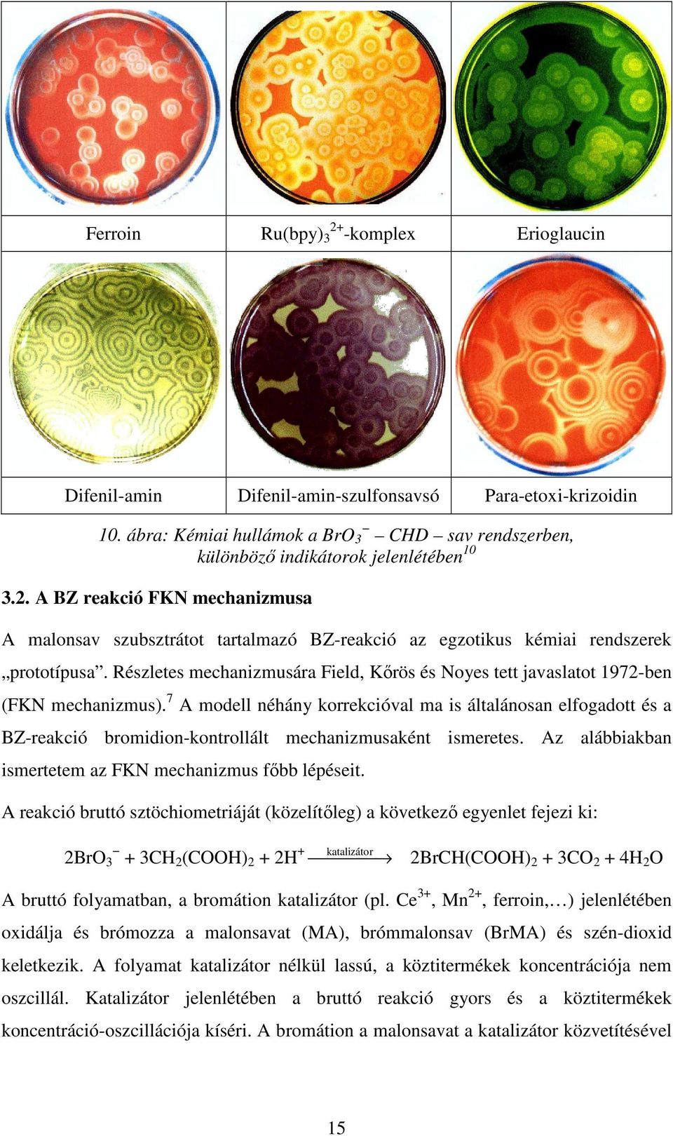 7 A modell néhány korrekcióval ma is általánosan elfogadott és a BZ-reakció bromidion-kontrollált mechanizmusaként ismeretes. Az alábbiakban ismertetem az FKN mechanizmus főbb lépéseit.