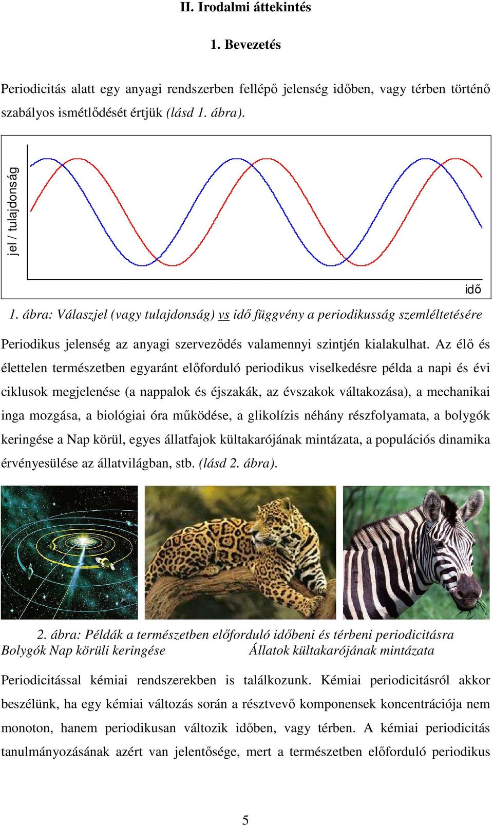 Az élő és élettelen természetben egyaránt előforduló periodikus viselkedésre példa a napi és évi ciklusok megjelenése (a nappalok és éjszakák, az évszakok váltakozása), a mechanikai inga mozgása, a