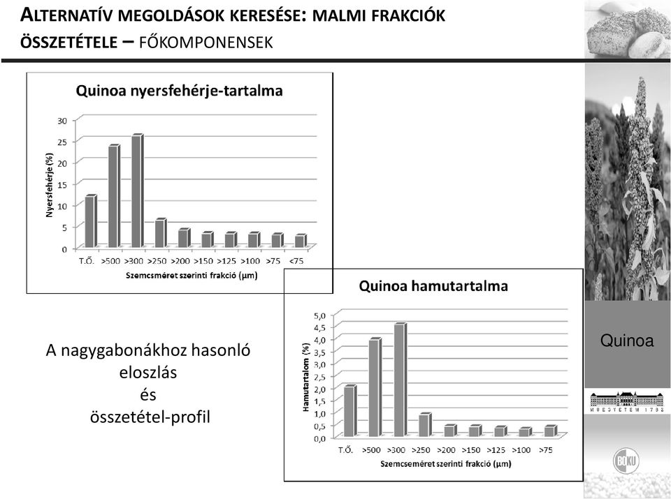 FŐKOMPONENSEK A nagygabonákhoz