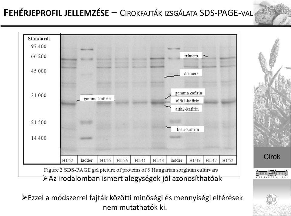 alegységek jól azonosíthatóak Ezzel a módszerrel