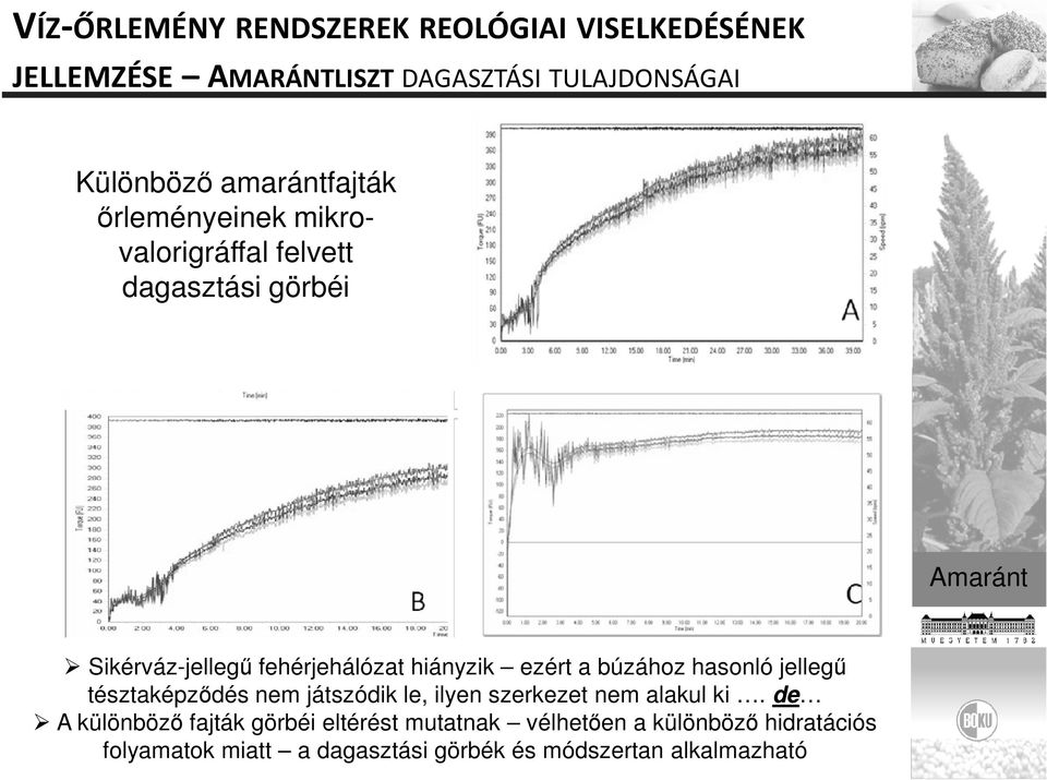 hiányzik ezért a búzához hasonló jellegű tésztaképződés nem játszódik le, ilyen szerkezet nem alakul ki.