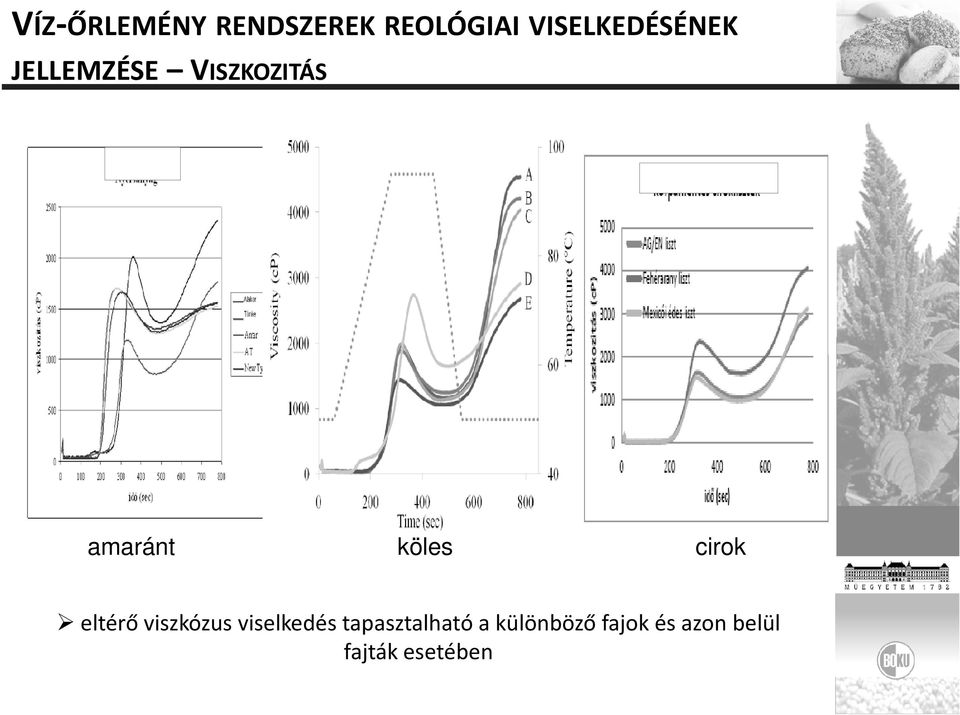 köles cirok eltérő viszkózus viselkedés