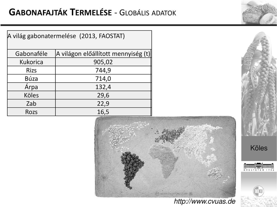 előállított mennyiség (t) Kukorica 905,02 Rizs 744,9 Búza