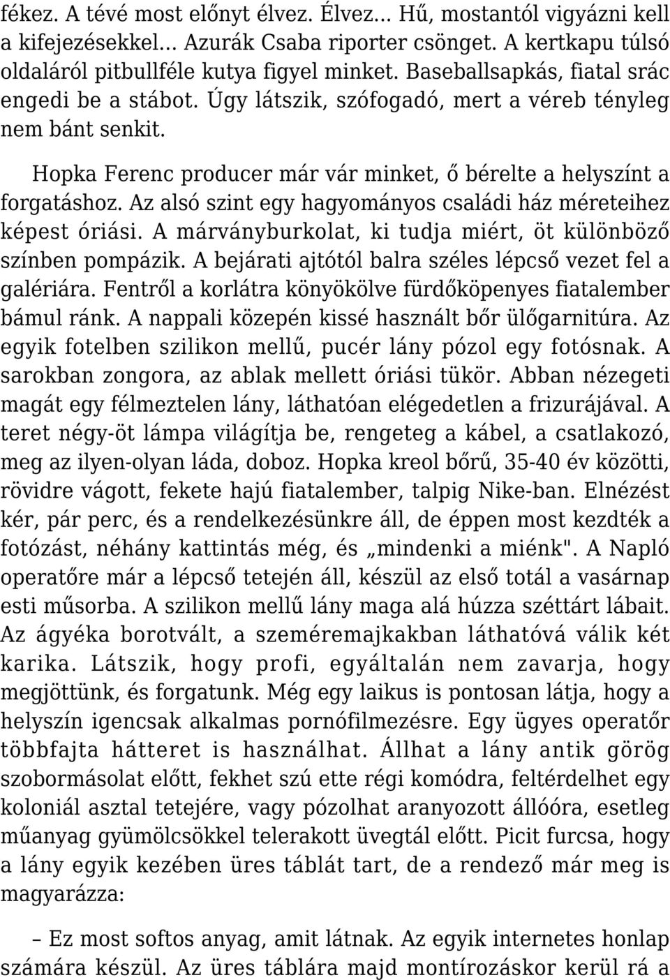 Az alsó szint egy hagyományos családi ház méreteihez képest óriási. A márványburkolat, ki tudja miért, öt különböző színben pompázik. A bejárati ajtótól balra széles lépcső vezet fel a galériára.