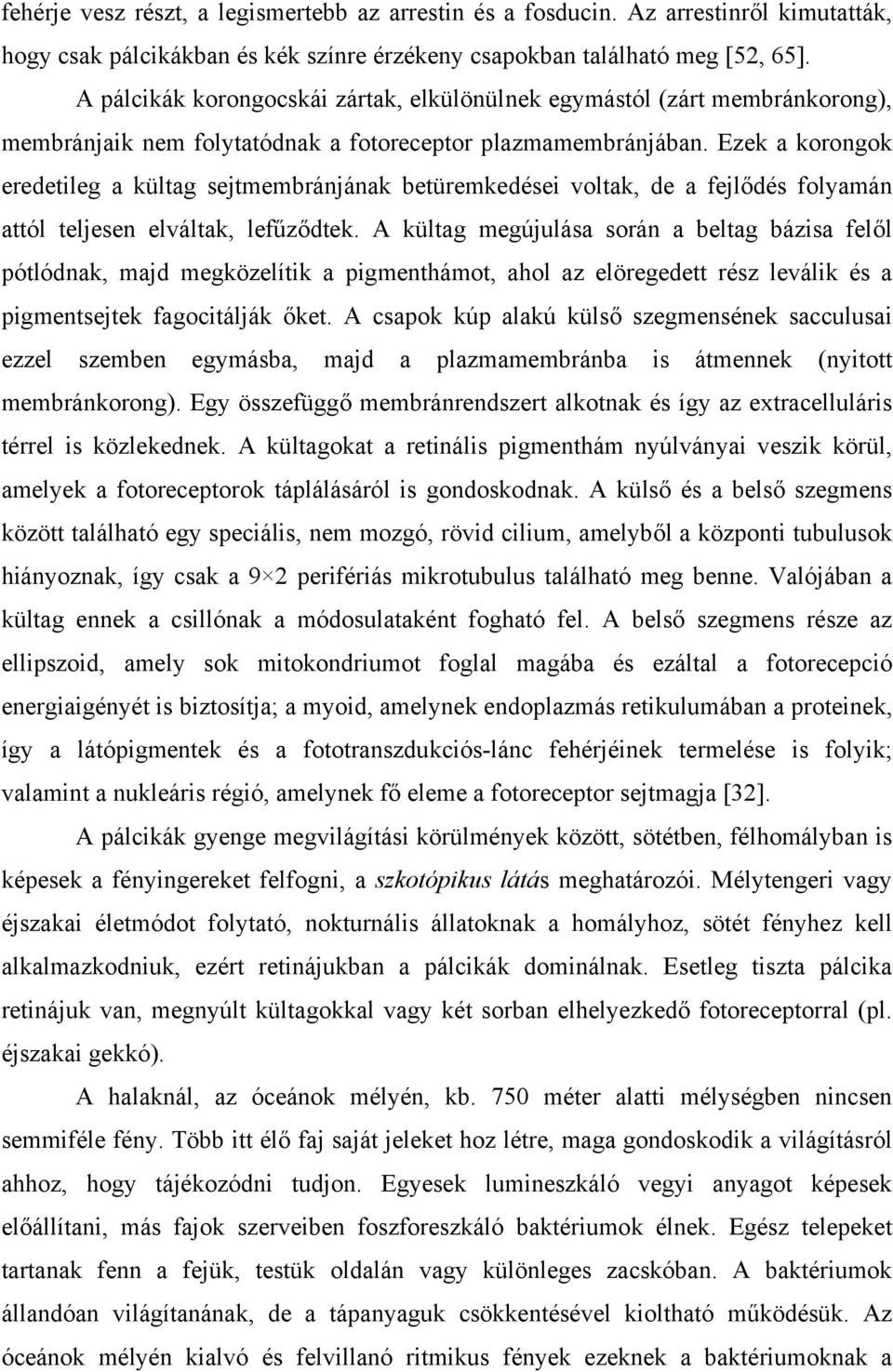 Ezek a korongok eredetileg a kültag sejtmembránjának betüremkedései voltak, de a fejlődés folyamán attól teljesen elváltak, lefűződtek.