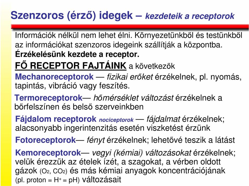 Termoreceptorok hımérséklet változást érzékelnek a bırfelszínen és belsı szerveinkben Fájdalom receptorok nociceptorok fájdalmat érzékelnek; alacsonyabb ingerintenzitás esetén viszketést érzünk