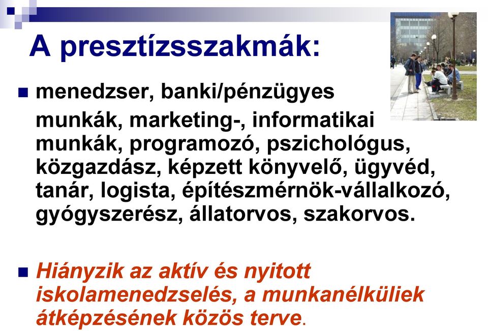 logista, építészmérnök-vállalkozó, gyógyszerész, állatorvos, szakorvos.