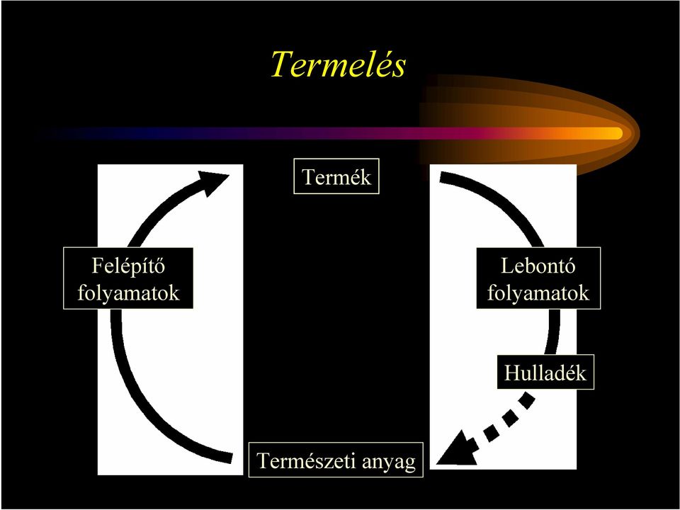 Lebontó folyamatok