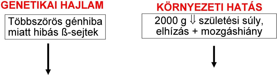 KÖRNYEZETI HATÁS 2000 g