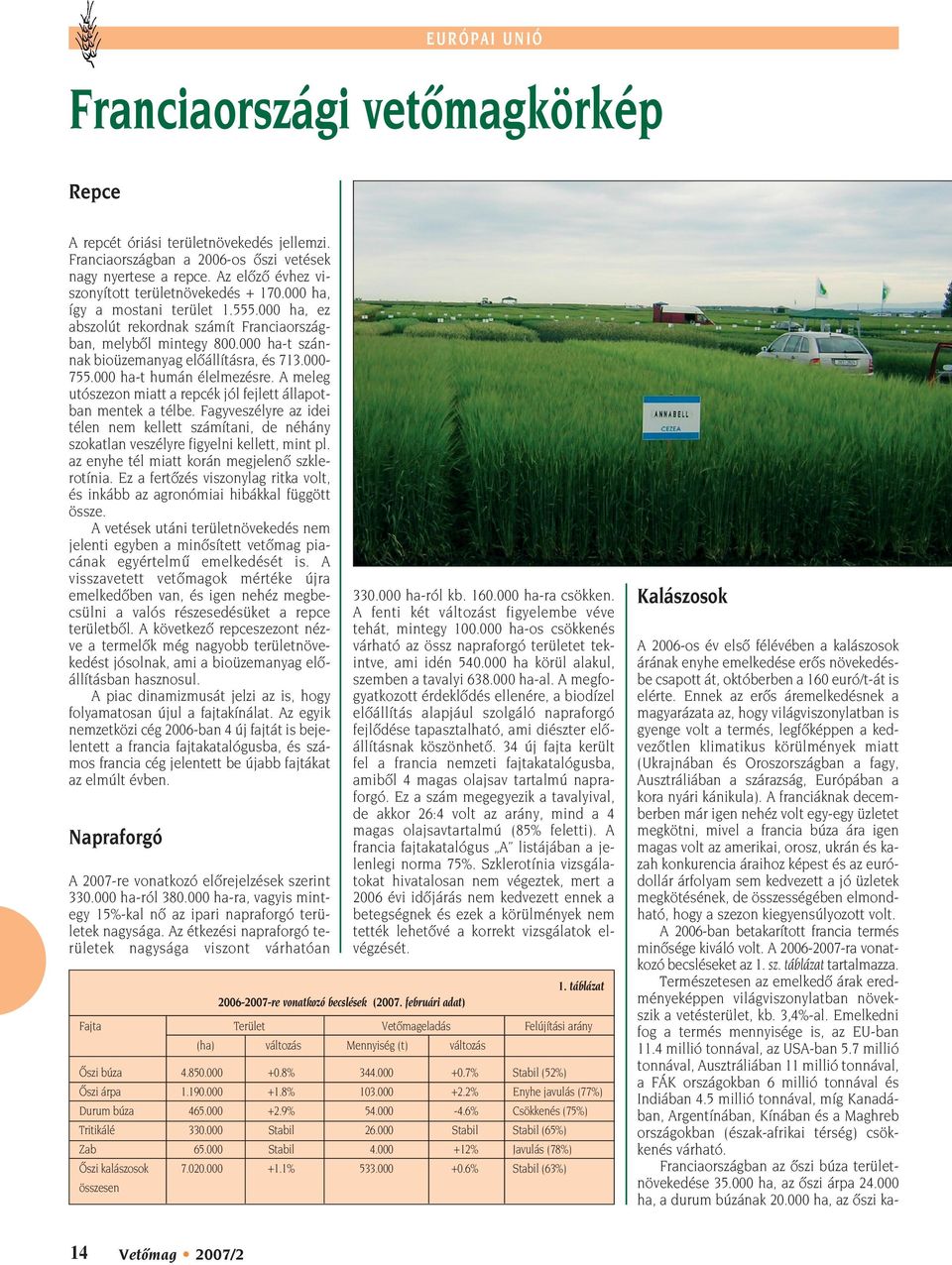 000 ha-t szánnak bioüzemanyag elôállításra, és 713.000-755.000 ha-t humán élelmezésre. A meleg utószezon miatt a repcék jól fejlett állapotban mentek a télbe.