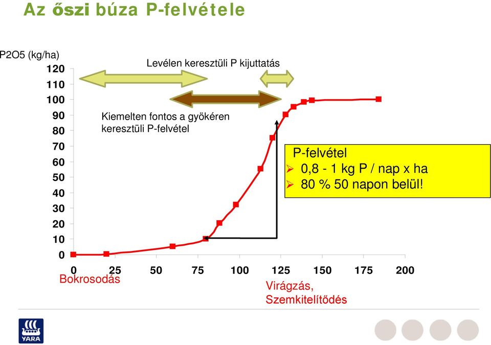 keresztüli P-felvétel P-felvétel 0,8-1 kg P / nap x ha 80 % 50 napon