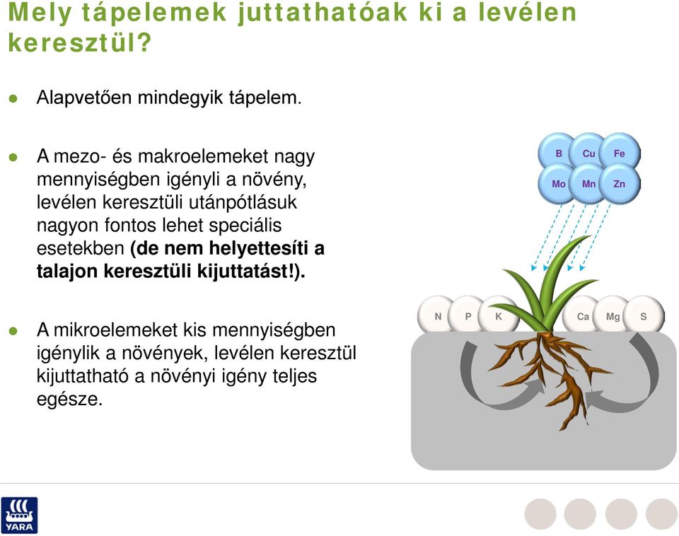 fontos lehet speciális esetekben (de nem helyettesíti a talajon keresztüli kijuttatást!).