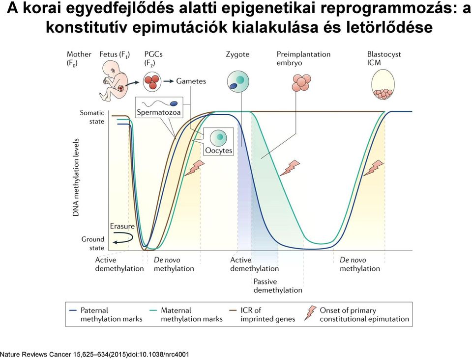 kialakulása és letörlődése Nature Reviews