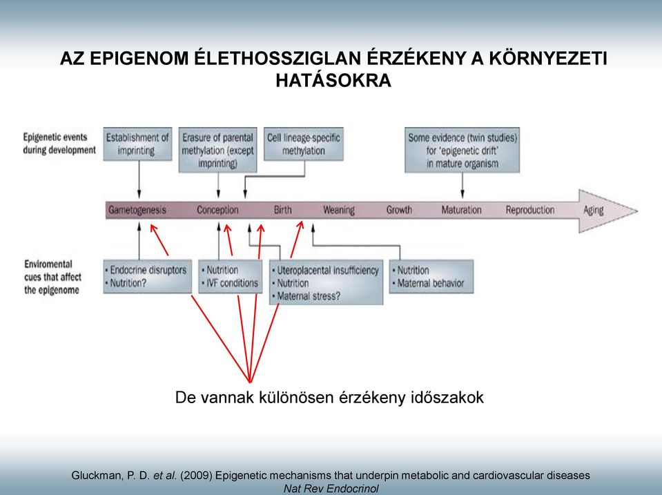 and cardiovascular diseases Nat Rev Endocrinol AZ