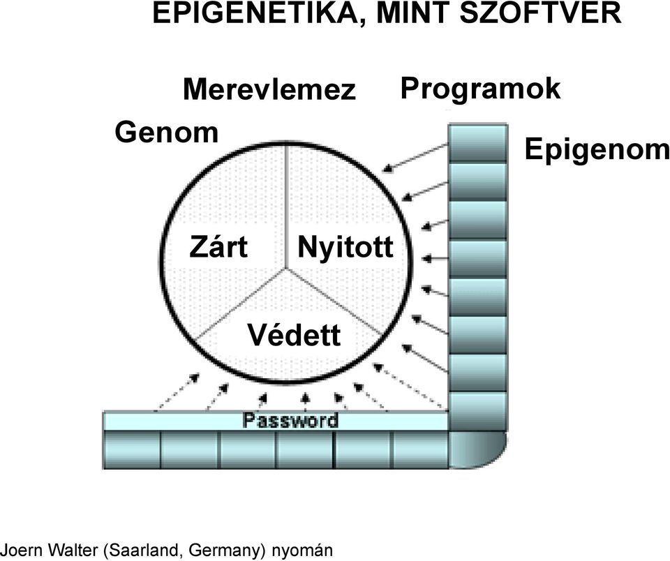 Epigenom Zárt Nyitott Védett