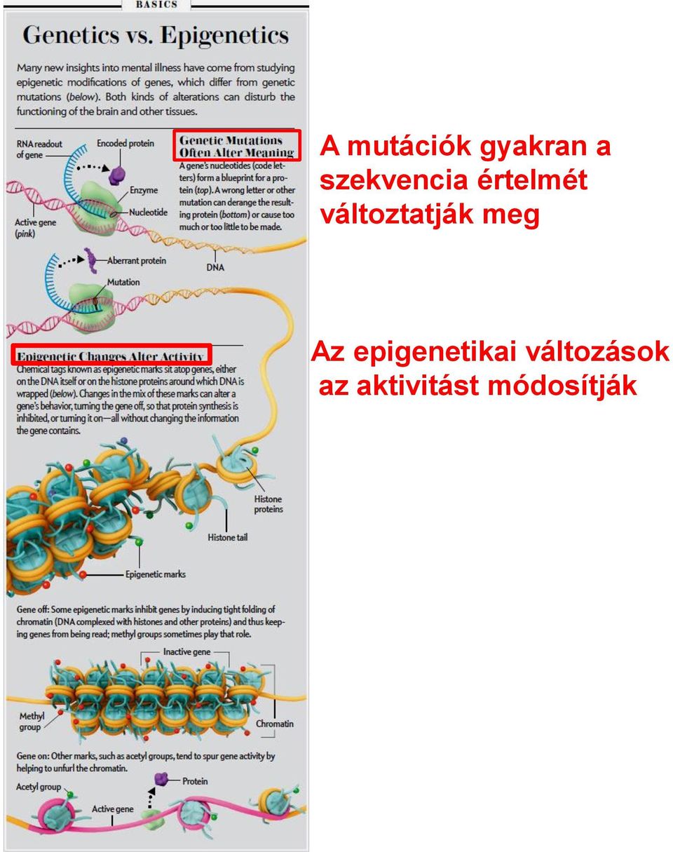 változtatják meg Az