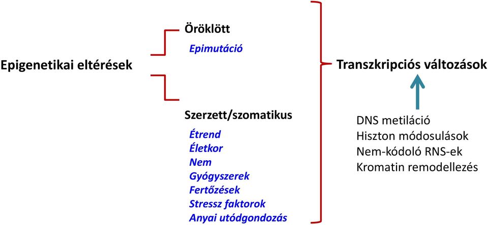 Gyógyszerek Fertőzések Stressz faktorok Anyai utódgondozás