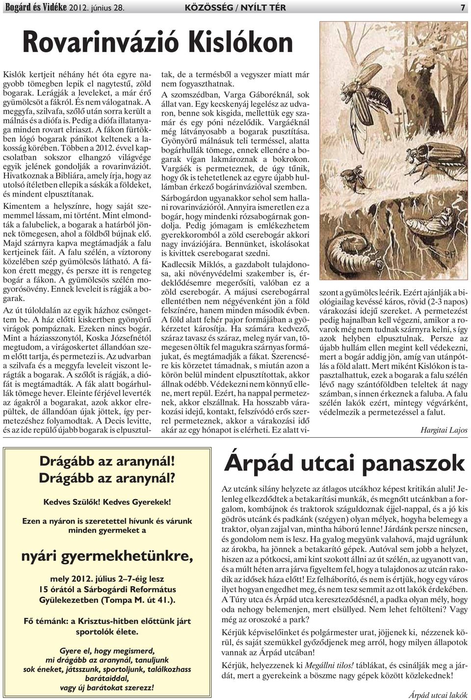 A fákon fürtökben lógó bogarak pánikot keltenek a lakosság körében. Többen a 2012. évvel kapcsolatban sokszor elhangzó világvége egyik jelének gondolják a rovarinváziót.