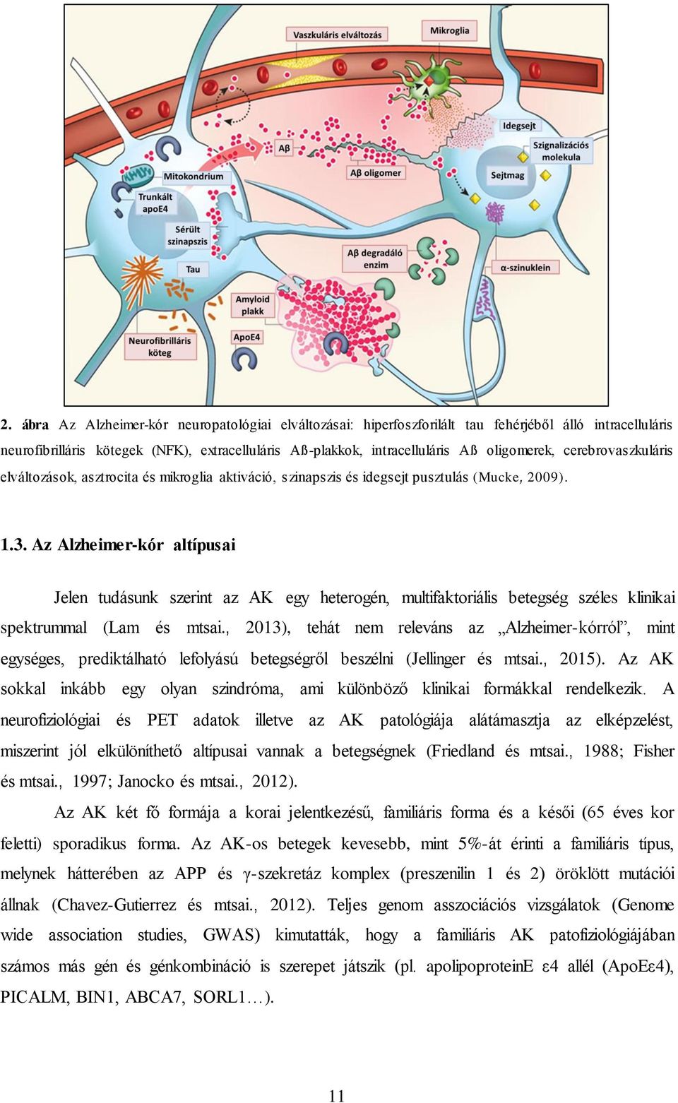 Az Alzheimer-kór altípusai Jelen tudásunk szerint az AK egy heterogén, multifaktoriális betegség széles klinikai spektrummal (Lam és mtsai.