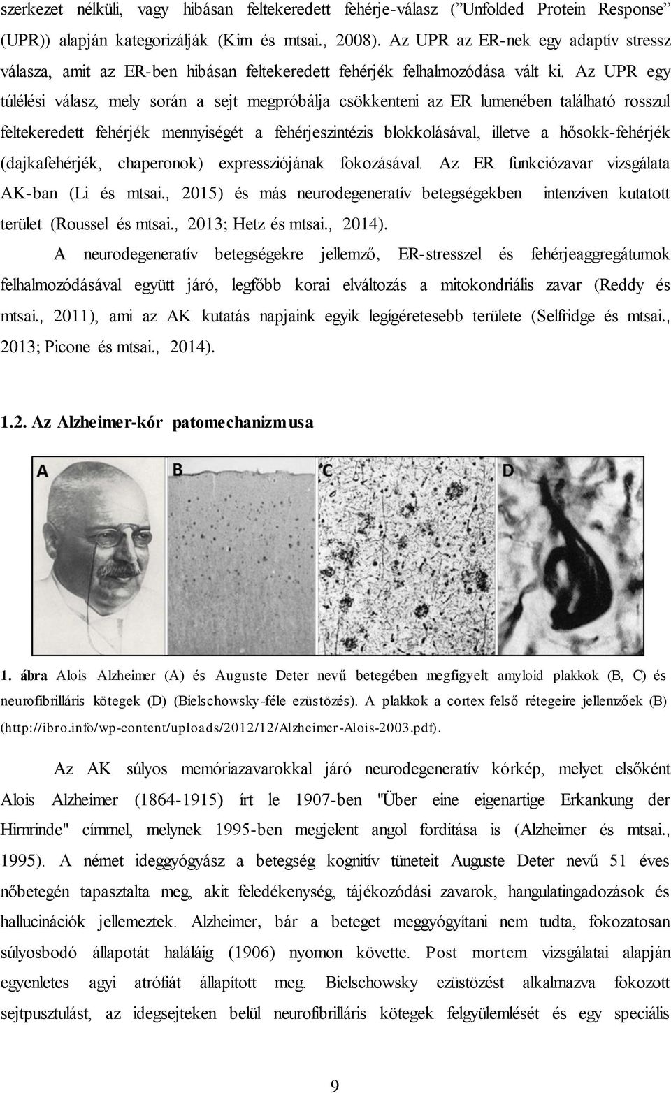 Az UPR egy túlélési válasz, mely során a sejt megpróbálja csökkenteni az ER lumenében található rosszul feltekeredett fehérjék mennyiségét a fehérjeszintézis blokkolásával, illetve a hősokk-fehérjék